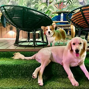 Rom Casa Ostello Da Nang